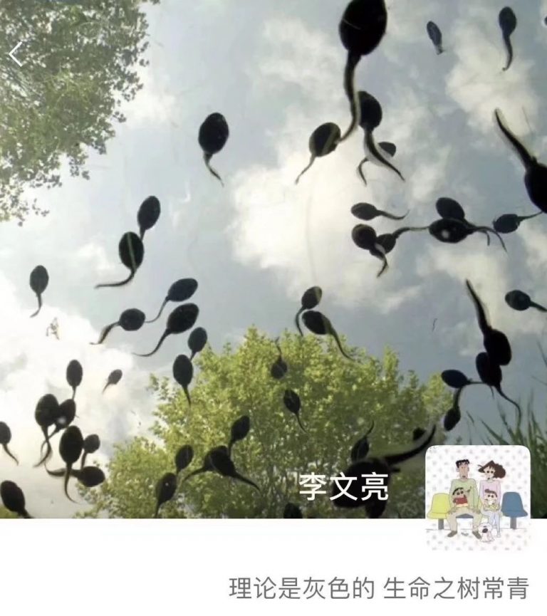 穷凶极恶和穷凶极饿
